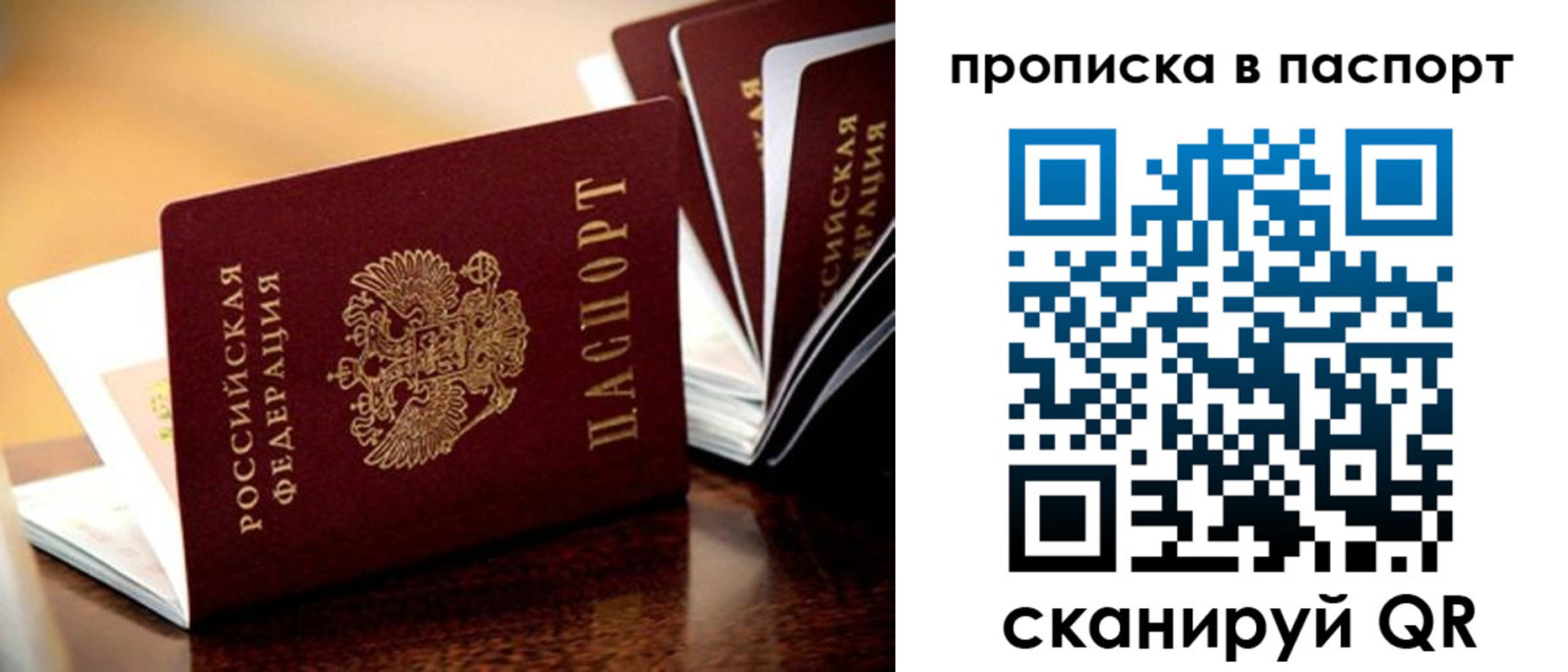 регистрация для школы в Мурманской области